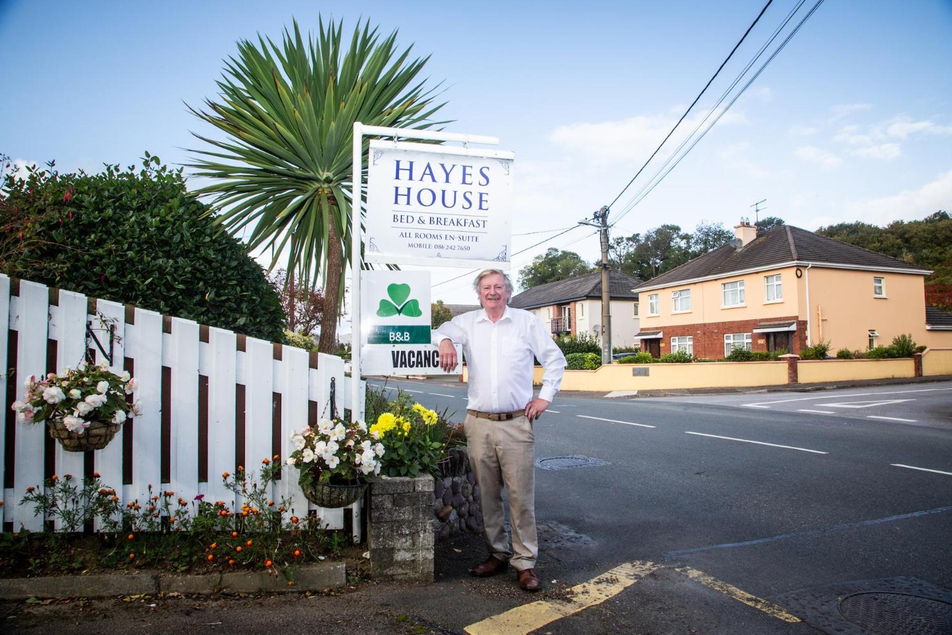 Hayes House Killarney Panzió Kültér fotó